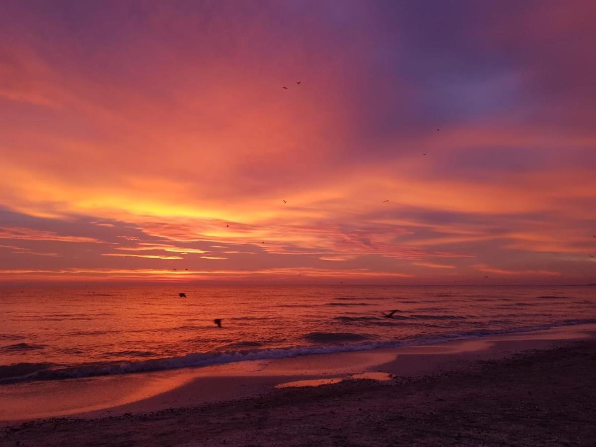 Caesar'S Studio Mamaia-Nord Экстерьер фото